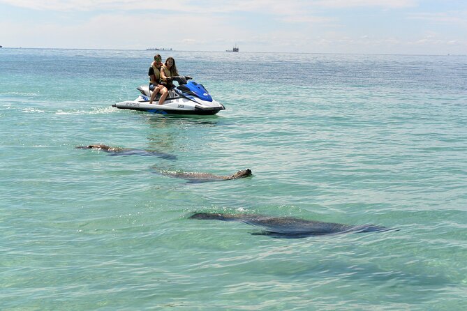 Perth Jet Ski Tour - Who This Tour Suits Best (and Who Might Skip It)