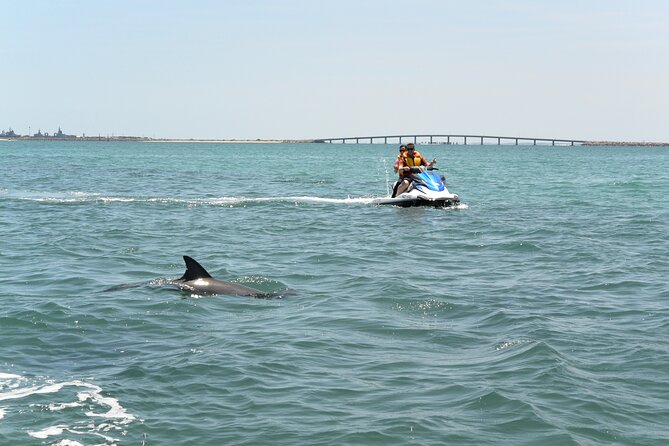 Perth Jet Ski Tour - Cockburn Sound and Garden Island: What You’ll Actually See