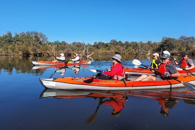Perth Kayak Tour - Canning River Wetlands - Price and value: is $71.01 worth it?