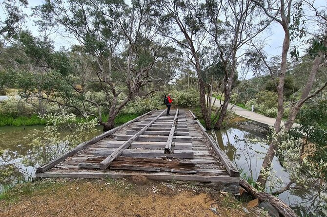 Perth Kayak Tour - Canning River Wetlands - Small-group feel: why the max of 16 matters