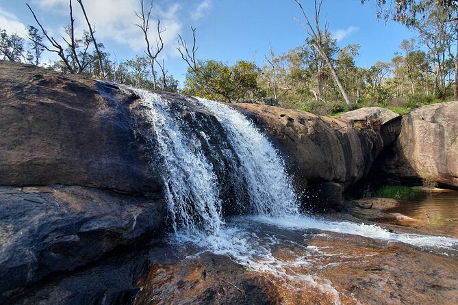 Perth Kayak Tour - Canning River Wetlands - Getting the most from your paddle: practical tips