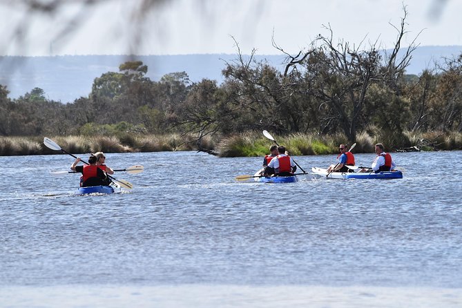 Perth Kayak Tour - Canning River Wetlands - Kent Street Weir: the 30-minute break that makes the morning