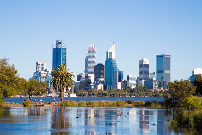 Perth, Kings Park, Swan River, Fremantle and Optional Cruise - Price and value: where $164.25 makes sense