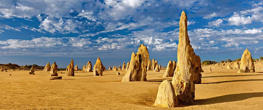 Perth: Pinnacles and Swan Valley Wine Day Tour with Lunch - Getting from Perth and Fremantle without fighting traffic