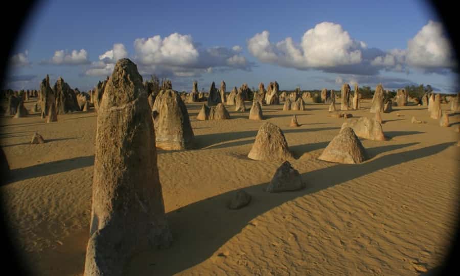 Perth: Pinnacles and Swan Valley Wine Day Tour with Lunch - Lunch at Lobster Shack: included fuel that actually helps