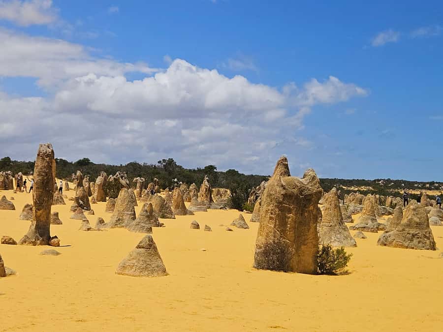 Perth: Pinnacles Desert & Sand Dunes Private Day Tour - Key highlights worth planning for