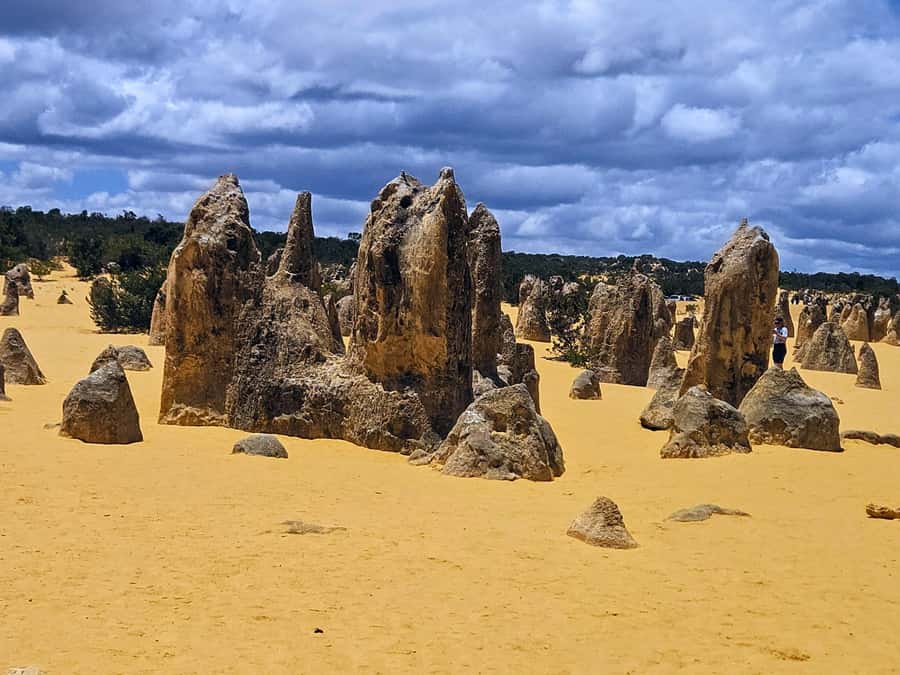 Perth: Pinnacles Desert & Sand Dunes Private Day Tour - Early start from Perth and the Indian Ocean Drive stretch