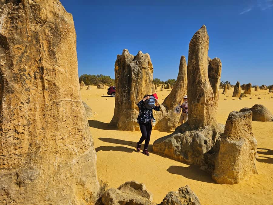 Perth: Pinnacles Desert & Sand Dunes Private Day Tour - Cervantes and Lobster Shack: a seafood lunch break you pay for