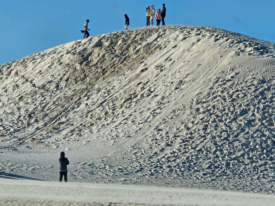 Perth: Pinnacles Desert & Sand Dunes Private Day Tour - Who should book this tour (and who might not)