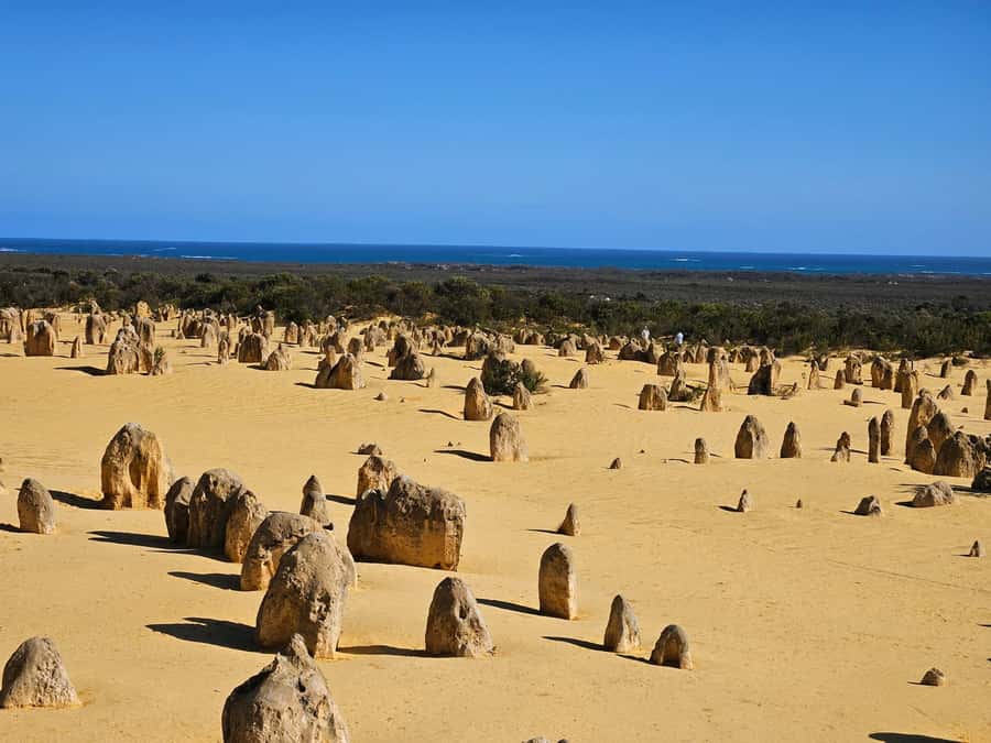 Perth: Pinnacles Desert & Sand Dunes Private Day Tour - Entering Nambung’s Pinnacles Desert: limestone pillars and soft-morning photos