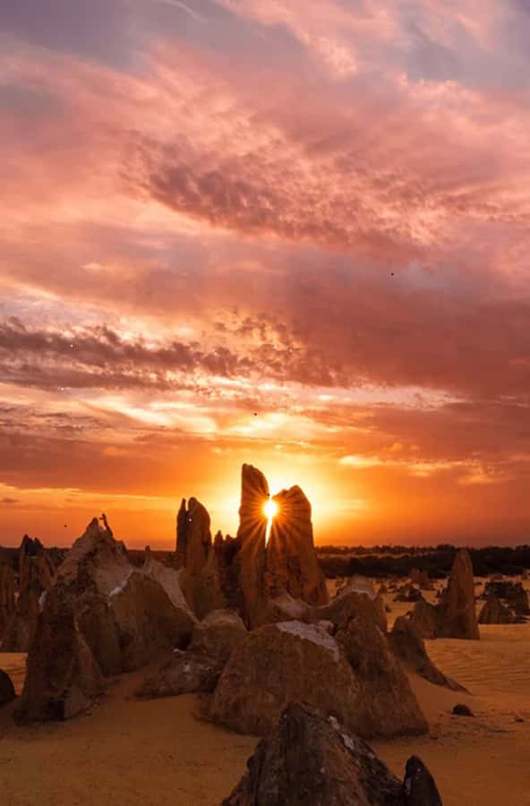Perth: Pinnacles Desert Sunset & Stargazing with Dinner - Quick hits on this Pinnacles sunset + stars day