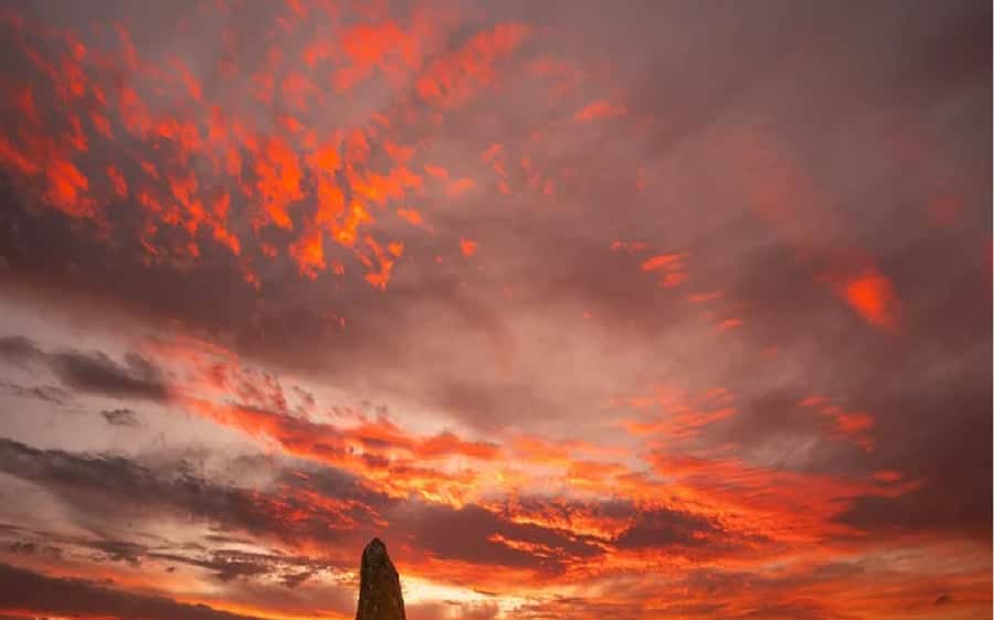 Perth: Pinnacles Desert Sunset & Stargazing with Dinner - The 8-hour rhythm: how the timing actually works