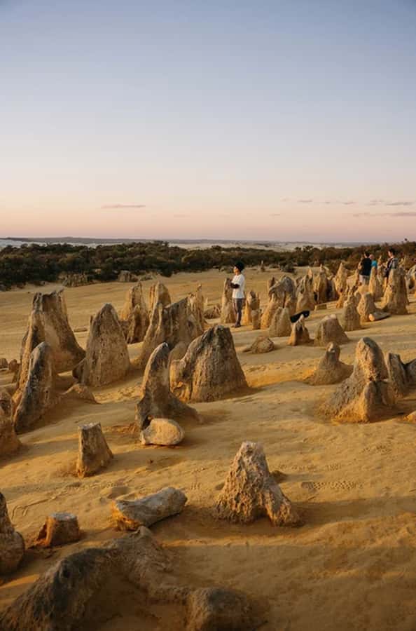 Perth: Pinnacles Desert Sunset & Stargazing with Dinner - The Cervantes dinner break: the Aussie pub atmosphere matters