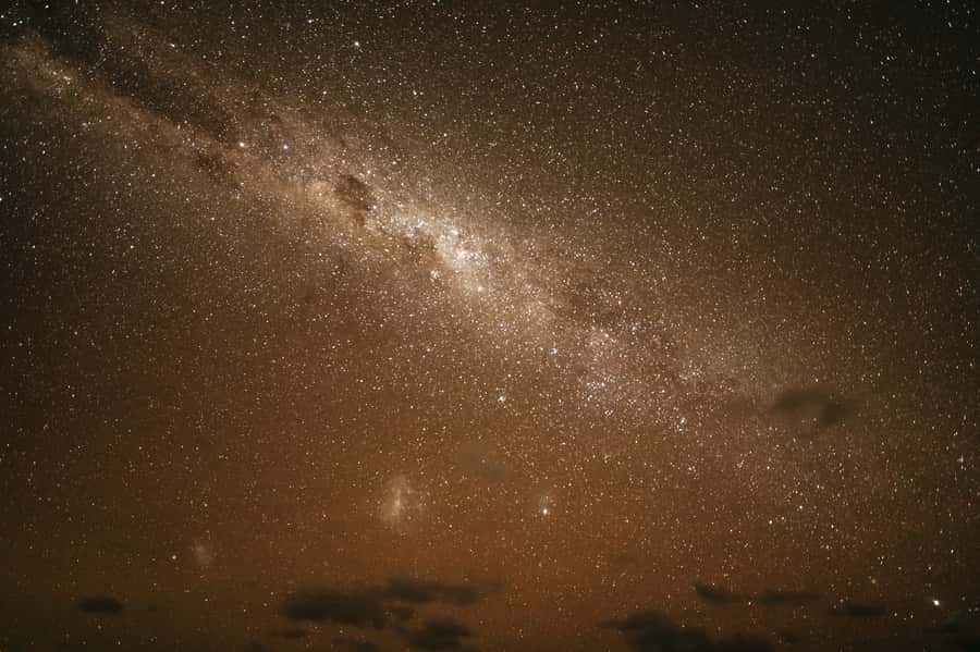 Perth: Pinnacles Desert Sunset & Stargazing with Dinner - Yanchep National Park: koalas and wild kangaroos stop the day from feeling touristy