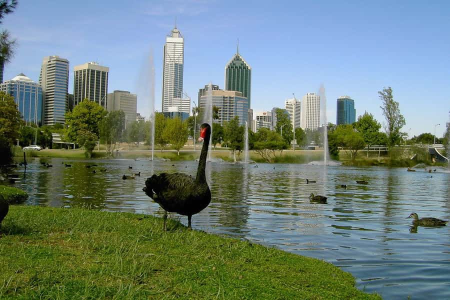 Perth Riverside Segway Tour - Perth Bell Tower to the Swan River: getting comfortable on the glide