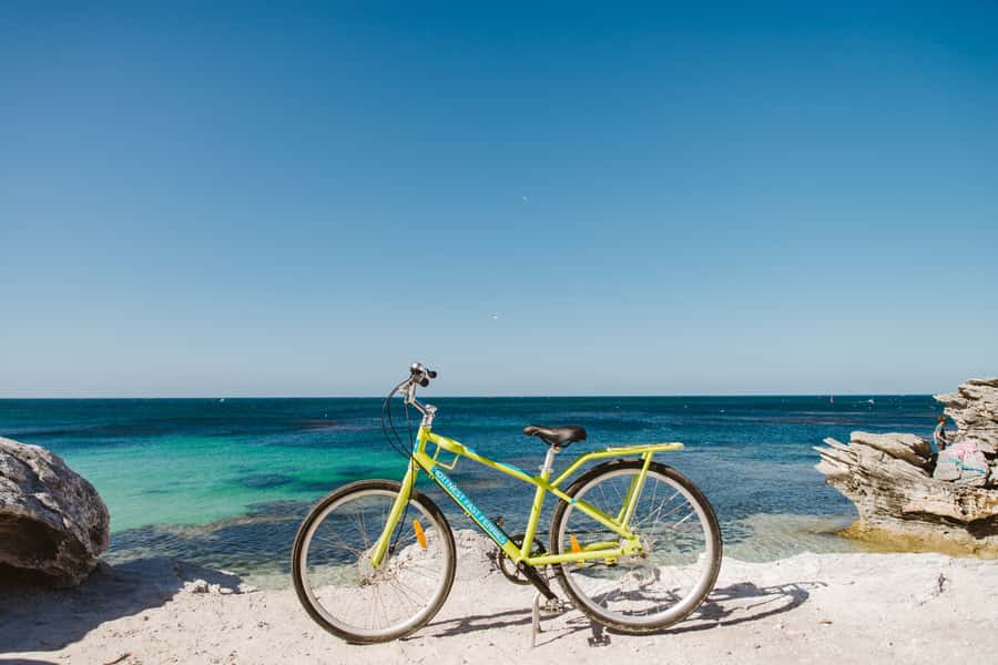 Perth: Rottnest Island Ferry, Bike, Coffee & Lobster Roll - The Lane Café Cray Dog: lobster-style comfort food