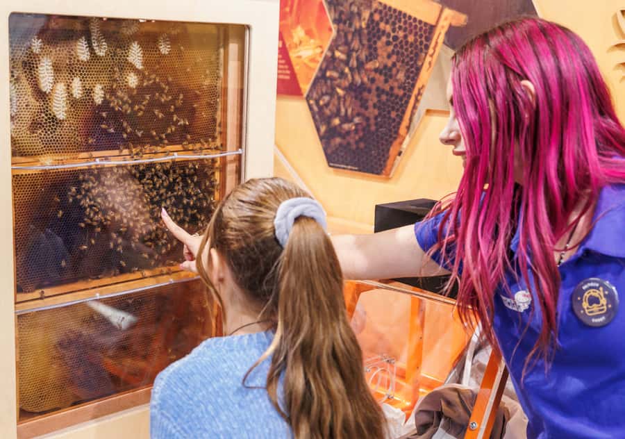 Perth: Scitech Discovery Centre All Day Entry Ticket - Price and value: $18 for an all-day science hit