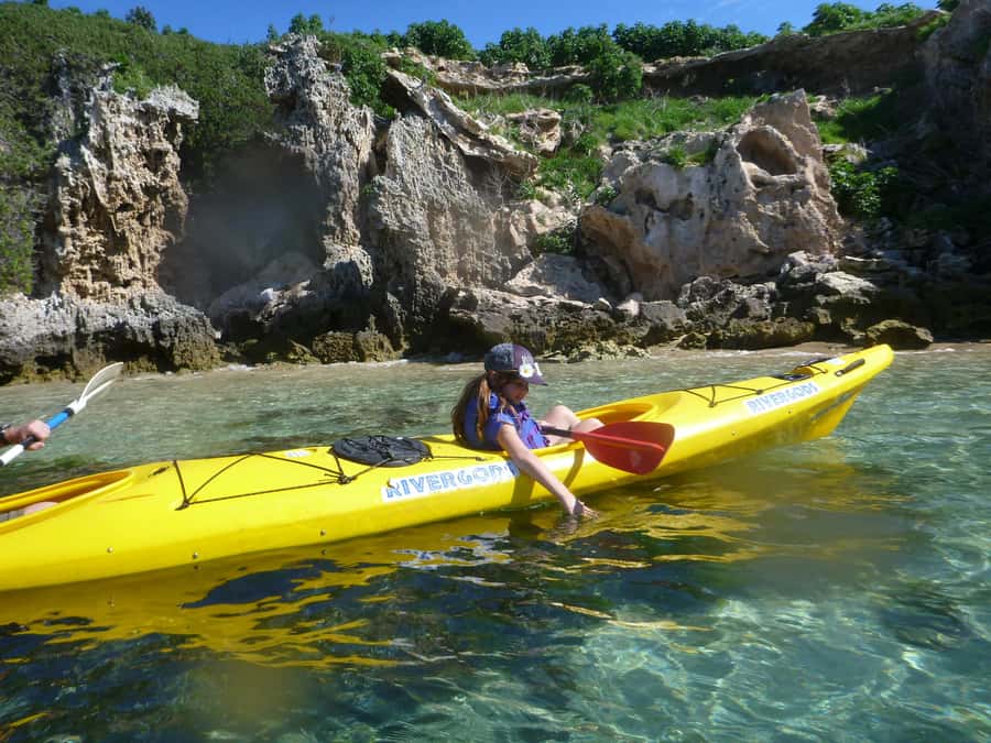 Perth: Shoalwater Islands Marine Park Sea Kayaking Tour - Seal Island Paddle: Short Distance, Strong Wildlife Payoff