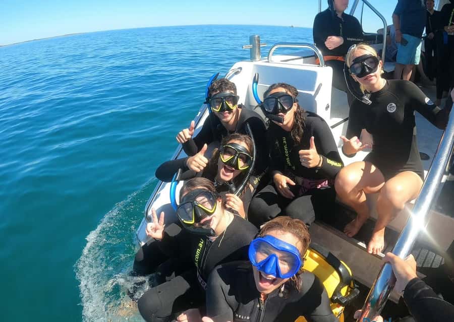 Perth: Swim with Wild Dolphins Tour - Timing on the water: how dolphin sightings shape your day