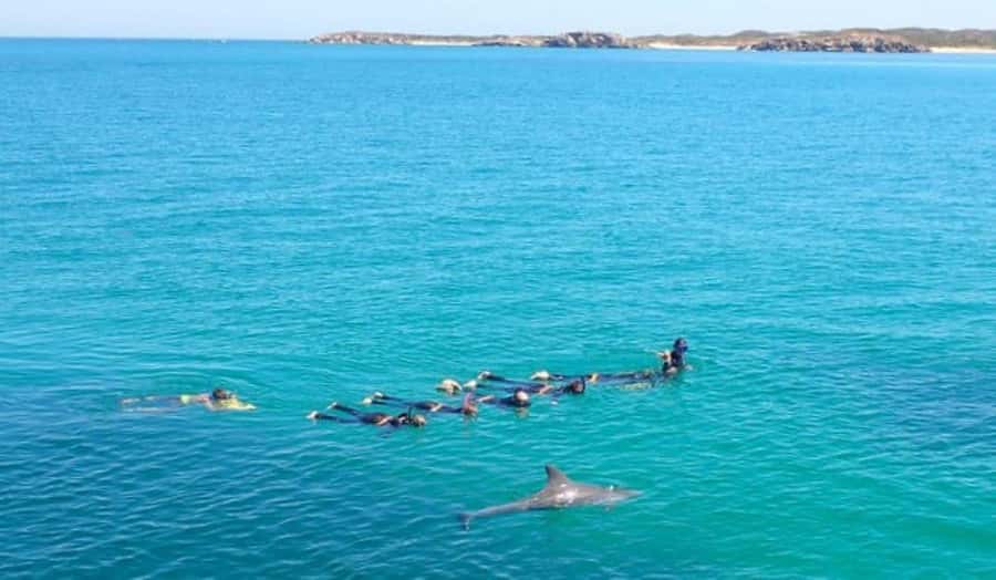 Perth: Swim with Wild Dolphins Tour - Packing tips that make the day smoother