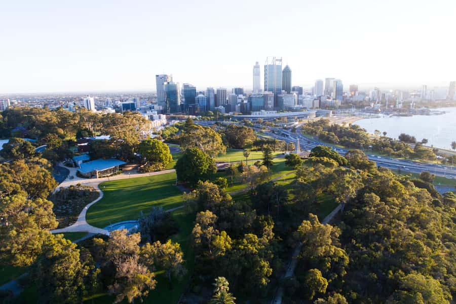 Perth Tailored 3-Hour Private Tour for The Travel Chameleon - Kings Park and Botanic Garden: the skyline intro you’ll feel instantly