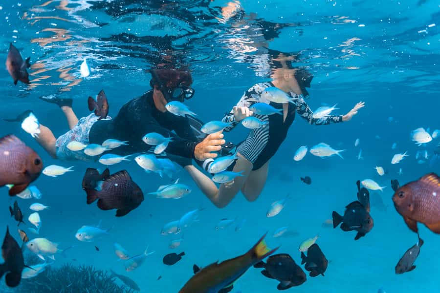 Perth to Exmouth: 6-Day Ningaloo Reef & Coral Coast Tour - Nambung National Park and the Pinnacles Desert: walking among limestone spires