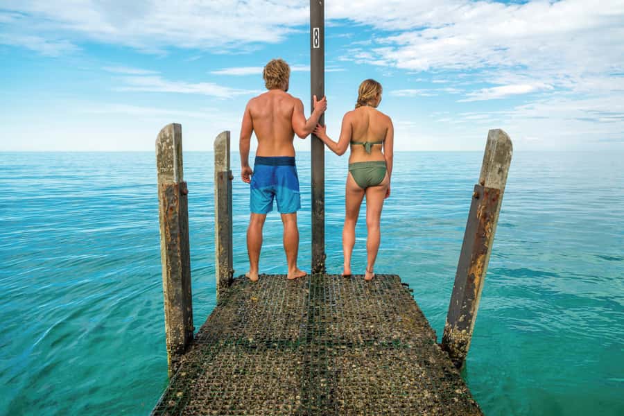 Perth to Exmouth: 6-Day Ningaloo Reef & Coral Coast Tour - Monkey Mia mornings: wild bottlenose dolphins and a real wildlife checklist