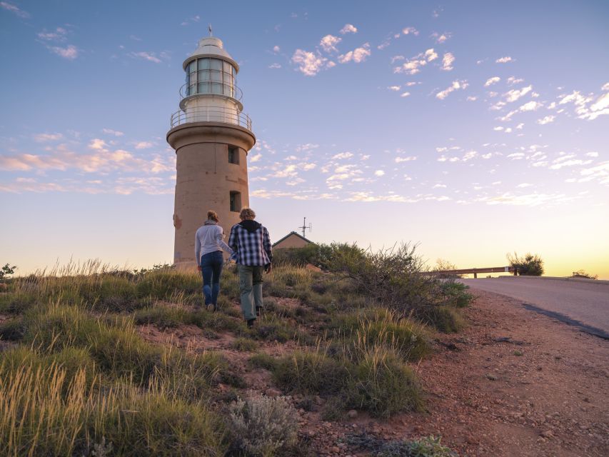 Perth to Exmouth: 6-Day Ningaloo Reef & Coral Coast Tour - Two days of Ningaloo Reef snorkelling from Coral Bay