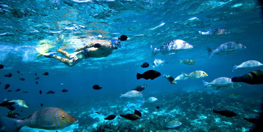 Perth to Exmouth & Return with Monkey Mia & Ningaloo Reef - Key things I’d circle before you book