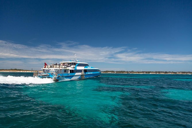 Perth to Rottnest Island Roundtrip Ferry Ticket - Price and value: what $91.09 buys you (and when it’s worth it)
