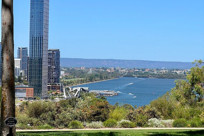Perth Wide Sightseeing - Kings Park: The Best View-to-Walk Ratio in the Whole Day