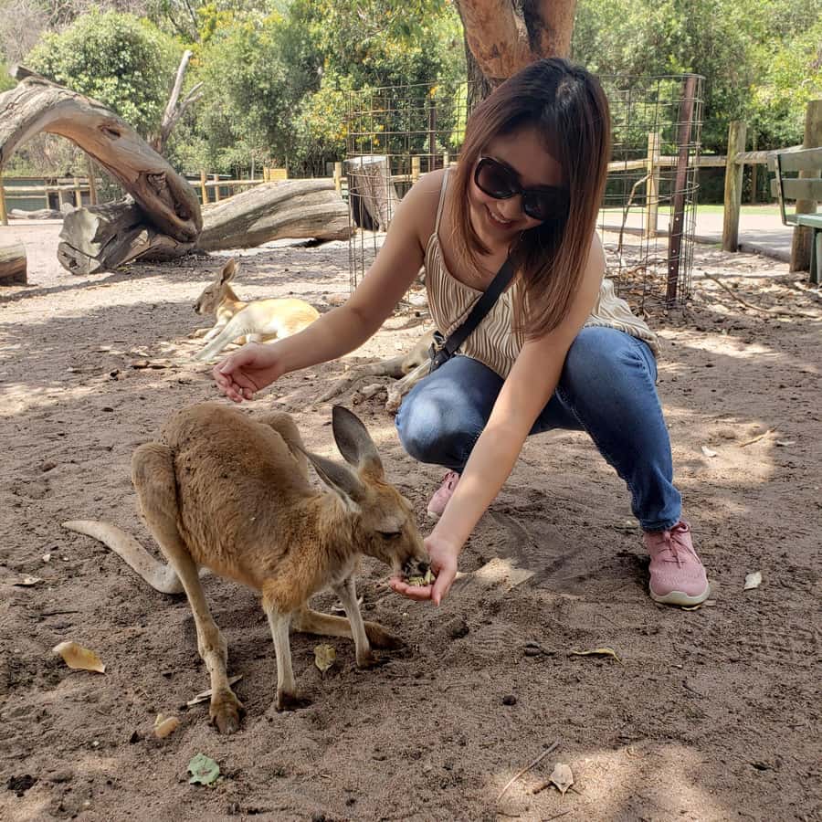 Perth Wildlife Park & City Highlights - Small Group Tours - Why the 10-Person Limit Changes the Whole Day