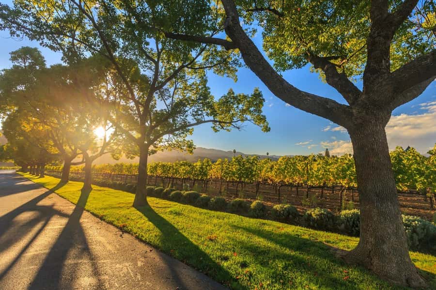 Perth Wildlife Park & City Highlights - Small Group Tours - Tour Snapshot: What You’re Getting for $169