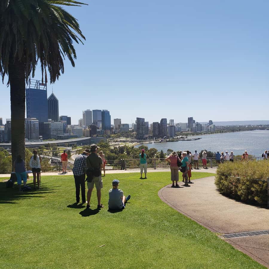 Perth Wildlife Park & City Highlights - Small Group Tours - Pickup and Timing: Choose Your Starting Point Wisely