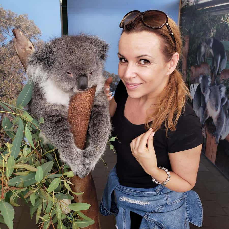 Perth Wildlife Park & City Highlights - Small Group Tours - Caversham Wildlife Park: Skip the Line to Kangaroos, Koalas, Wombats