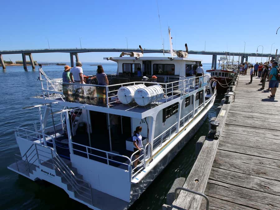 Philip Island: Dolphin and Whale Cruise - Cape Woolamai to open water: why this route matters