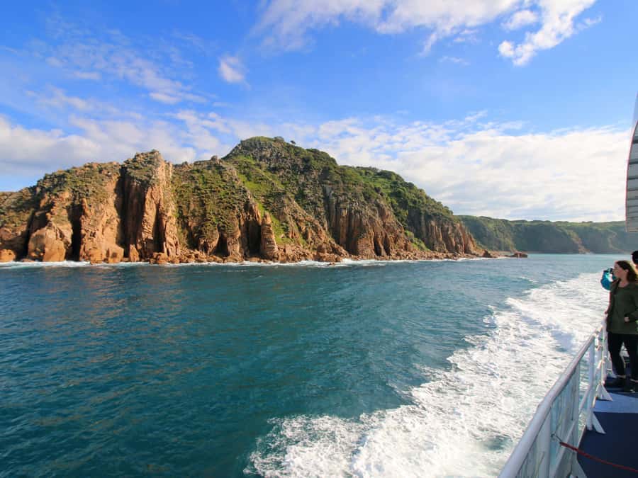 Philip Island: Dolphin and Whale Cruise - The onboard feel: captain commentary, scan time, and engine noise