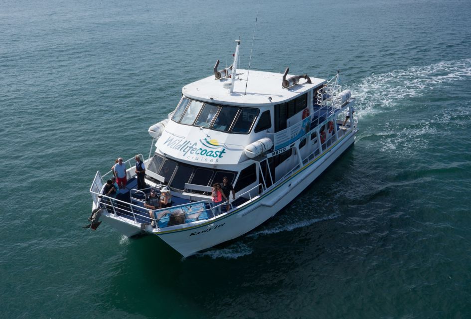 Philip Island: Dolphin and Whale Cruise - Season, weather, and how to stack the odds in your favor