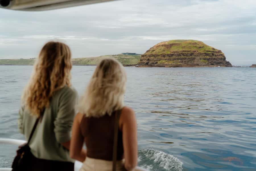 Philip Island: Seal Watching Cruise - Key reasons this cruise works
