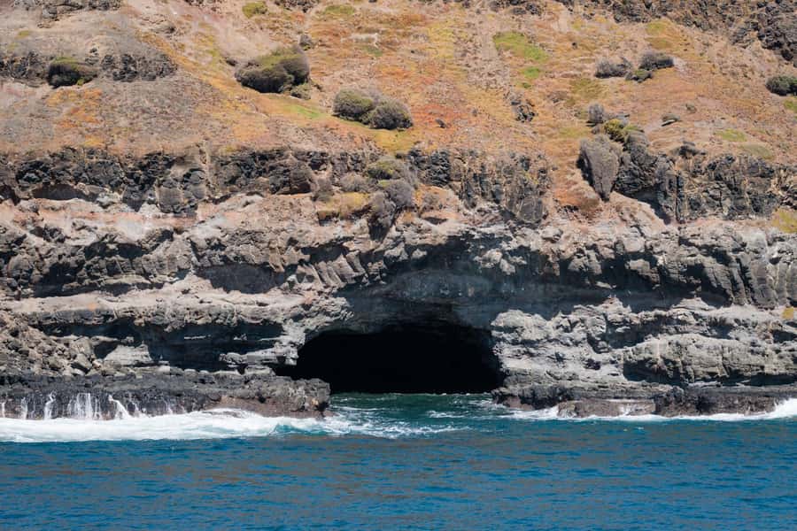 Philip Island: Seal Watching Cruise - The onboard guide role: learning without feeling like a lecture