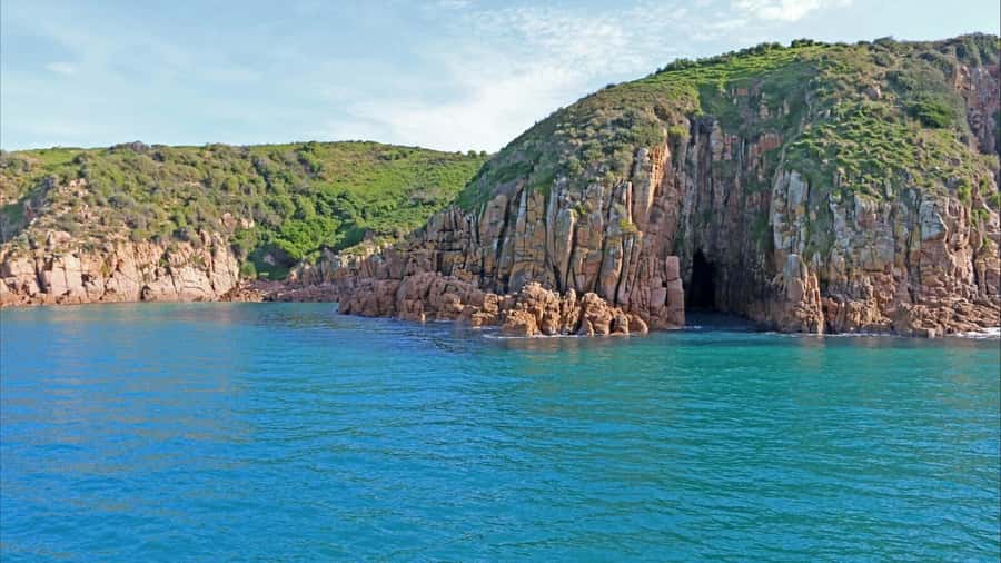 Phillip Island: 1-Hour Cape Woolamai Scenic Cruise - Wildlife watch you can actually manage in one hour