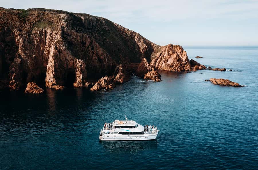 Phillip Island: 1-Hour Cape Woolamai Scenic Cruise - Practical tips so your cruise goes smoothly
