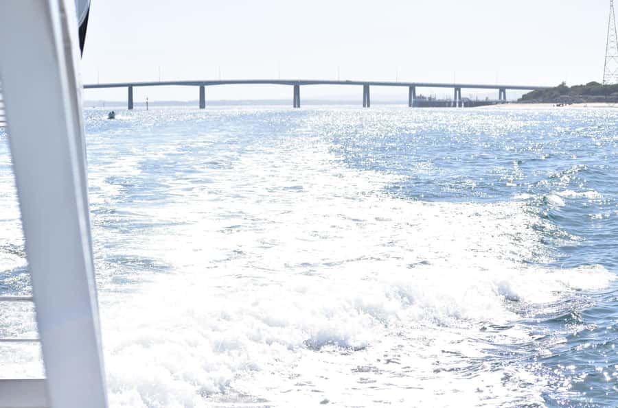 Phillip Island: 1-Hour Cape Woolamai Scenic Cruise - Who should book this Phillip Island cruise—and who should skip it