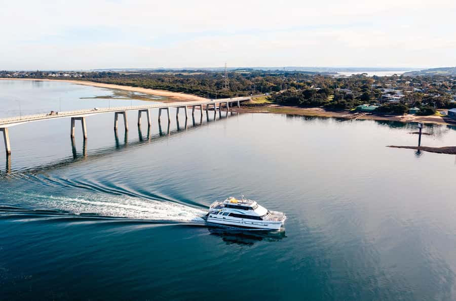 Phillip Island: 1-Hour Cape Woolamai Scenic Cruise - Price and value: why $34 feels fair for what you get