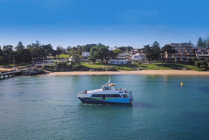 Phillip Island and French Island Wildlife Expedition - The Nobbies Centre and Point Grant: Seals, Sea Bluffs, and Wide Ocean Views