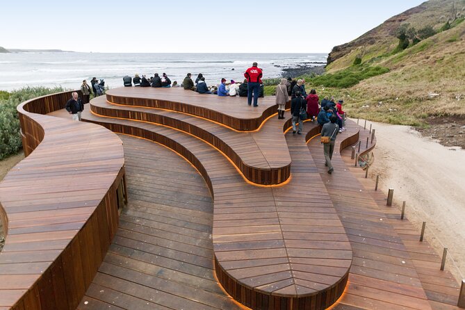 Phillip Island Day Trip from Melbourne with Penguin Plus Viewing Platform - The guides and the small-group advantage (and why it matters)