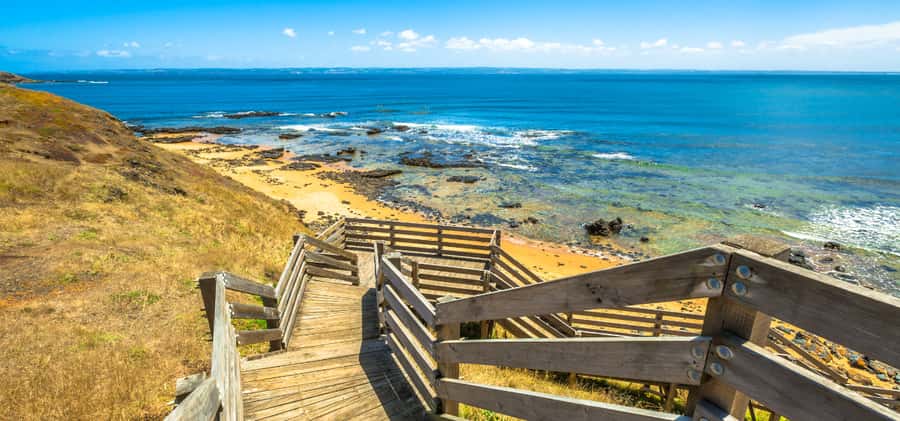 Phillip Island Driving Tour with an APP - Phillip Island Wildlife Park and Surfies Point: mix animals with views