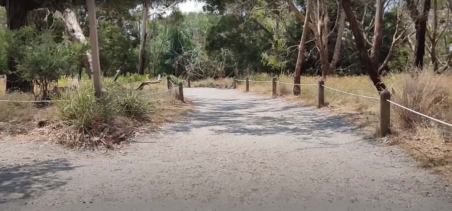 Phillip Island Driving Tour with an APP - Penguin Parade Visitor Centre: the big-ticket moment that needs planning