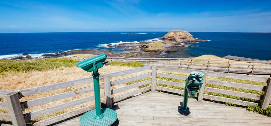 Phillip Island Driving Tour with an APP - Nobbies Ocean Discovery Centre and seal-colony learning