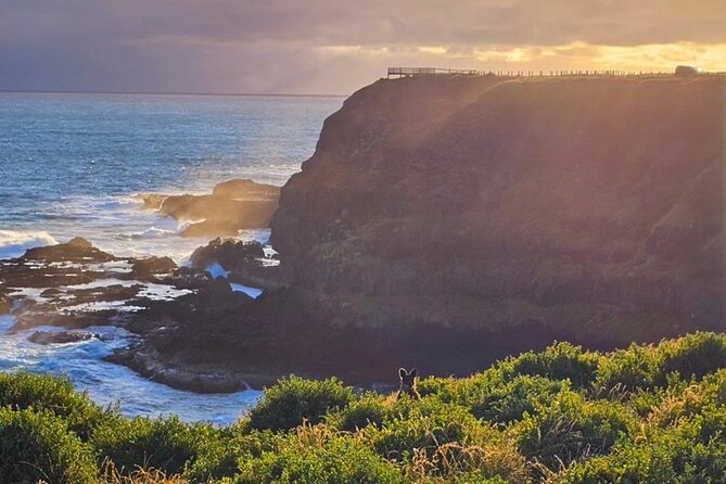 Phillip Island: Golden Hour Penguin Express Tour w/ Island Pickup - Cowes stop on Western Port Bay: a quick seaside reset